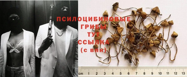 меф Белокуриха