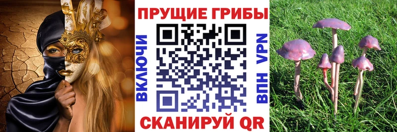 МЕГА tor  Малмыж  Галлюциногенные грибы Psilocybe  купить закладку 